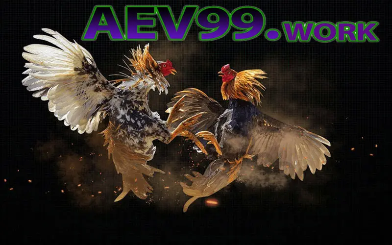 da-ga-aev99work