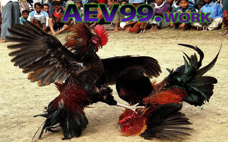daga-aev99work
