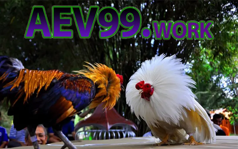 nhung-tran-ga-hay-aev99